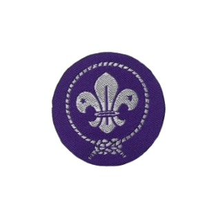 World Scouts Badge