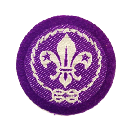 World Scouts Badge 